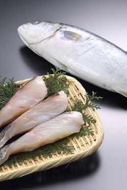 大口魚の読み方分かりますか 鍋料理にいいあの